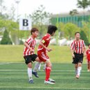 충주중앙초등학교 이미지