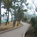 용호별빛공원 이미지
