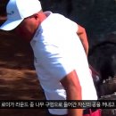 (주)나무투어