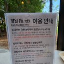 카페휴 | 경주 대형카페 추천! 초록 정원 속 힐링 공간 카페 썬트리휴 방문 후기 (당일캠프, 물놀이 가능)
