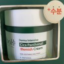 올리브영 울산상안점 | 올리브영 보타닉힐 보 시카 크림(내 돈 내산 후기)