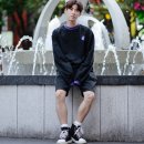 디스모멘트