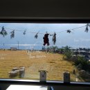 태신해안로 | 표선 파스타 추천! 서귀포 표선 이탈리안 식당 추천, 제주 뷰 맛집 포구 베아또 12월 신메뉴 시식 후기