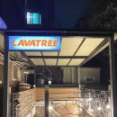라바트리(LAVATREE) 이미지