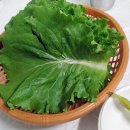 싱싱회마차 이미지