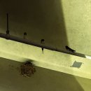 세븐일레븐 모슬포항점 | 제주여행 히든클리프 제주 디럭스 더블룸 클리프뷰 객실 예약