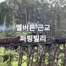 멜버른 근교 | 동화 속 기차여행st 퍼핑빌리 증기기관차 투어