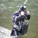 동강다슬기 이미지