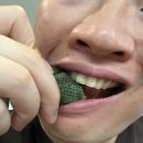 영광모시송편 | 모시남매 영광 모시송편 맛보기 꾸러미, 직접 먹어본 찐리뷰!