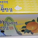 비프룻 이미지