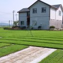 홍지마을 이미지