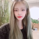 롯데리아 중화산점 이미지