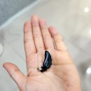 스마일보청기 이미지