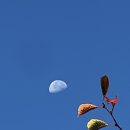 달의 행로1, 2, 3 이미지