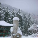 평창힐링스테이 이미지