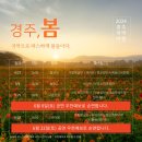 2024 경주국악여행 국악열전 | &#39;첨성대부터 월정교까지&#39; 역사유적지에서 만나는 명품 국악공연, 2024 경주국악여행 &lt;국악열전&gt;