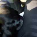 멍이 수라간 이미지