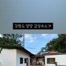하조델리 이미지