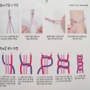 연화주단 | [리뷰] 다이소 매듭팔찌 DIY세트