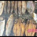 섬마을어부 이미지