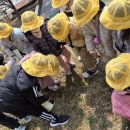 해오름초유치원 이미지