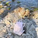 등대세탁 이미지