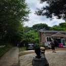 울산 아이랑 가볼만한곳 언양 포니랜드 먹이주기 승마체험 농장체험 후기