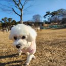 김여사네셀프주유소 이미지