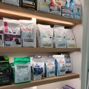 온리동물병원 이미지