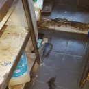 수원-0833 이미지