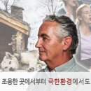 유니크아날로그 이미지