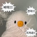 금포펜션 | 강릉 다녀왔써여.