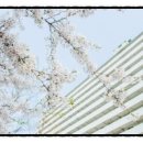 남미공인중개사사무소 네이버블로그