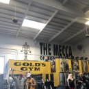 Gold PT GYM 이미지