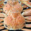 강구신대교 | 영덕에 가면 꼭 들러야하는 강구항 강구대교 영덕대게 맛집 '강구박달대게 풍물거리8호'