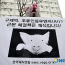 연합가축병원 이미지