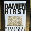 도심관통트윈스타입구 | 국립현대미술관 서울관, 데이미언 허스트 전시, 진실은 없으나 모든 것은 가능하지