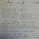 동글나무 이미지
