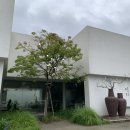 공주 동학사 카페 맛집 / 휘연 : 공주알밤라떼, 자몽스무디, 테디쇼콜라케이크