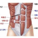 더핏기구필라테스단관점