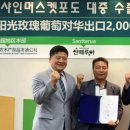 샤인 이미지
