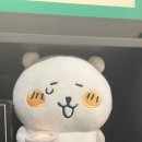 보드게임 카페 정글비 도화점 이미지