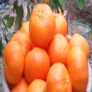 윤슬농장 이미지