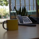 코스모스부동산중개 이미지