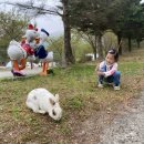 가래골농원 캠핑장 이미지