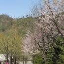 원주산노리캠핑장 네이버블로그