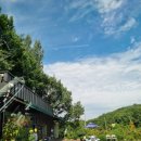 꽃주렁 나무주렁 캠핑장 이미지