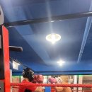 레드복싱클럽 이미지