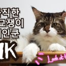 메인ENG 이미지