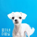 뭉치네 미용실 이미지